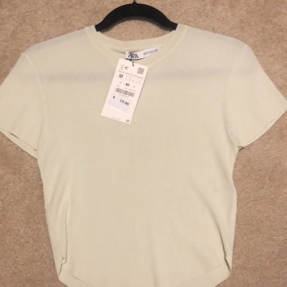 Zara crop top - Picture 3 of 3